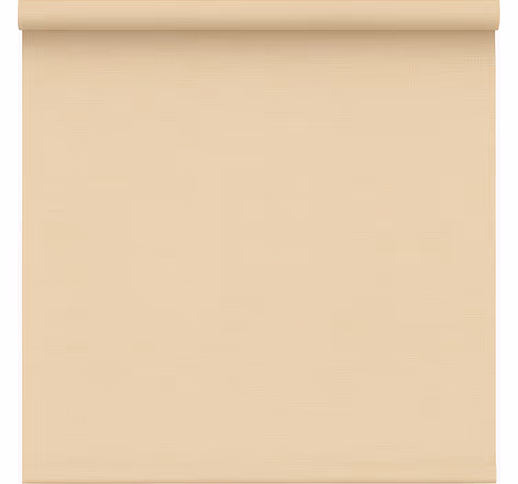 Rullgardin kontor enkel beige genomskinlig - Tenstickers