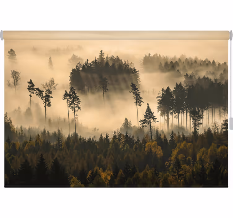 Rullgardin träd eterisk morgondimma - Tenstickers