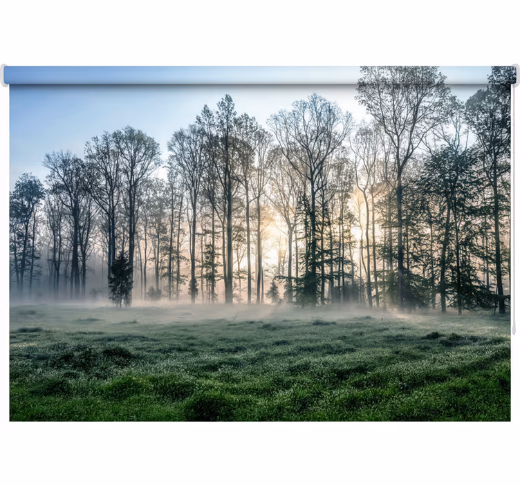 Rullgardin träd dimma morgon - Tenstickers