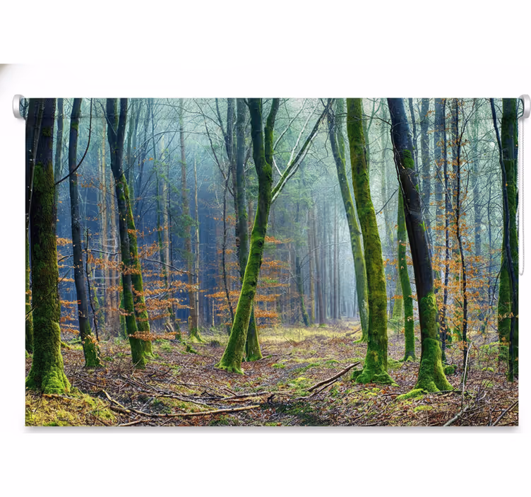 Rullgardin träd foggy forest japandi - Tenstickers