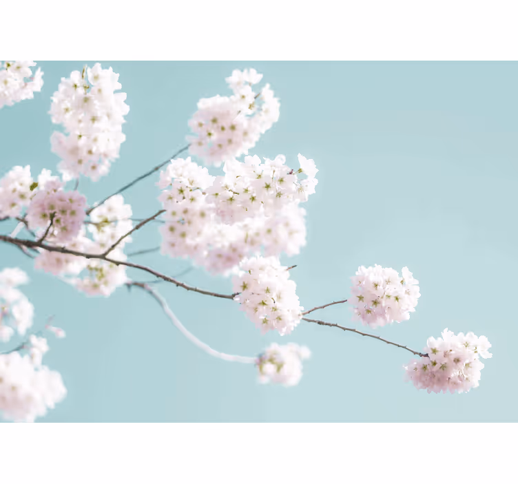 Rullgardin kök elegant och feminin vit blommönster - Tenstickers