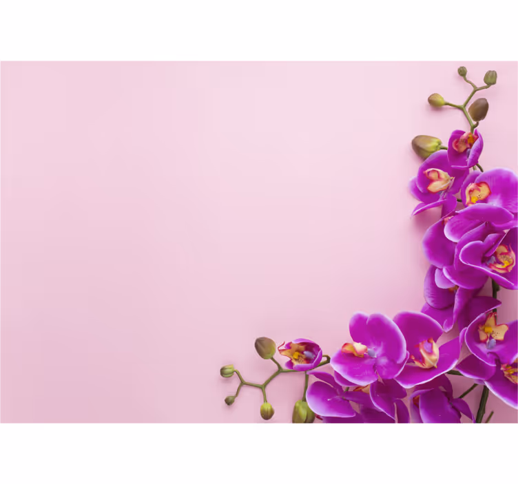 Rullgardin kök rosa bakgrund med orkidé - Tenstickers