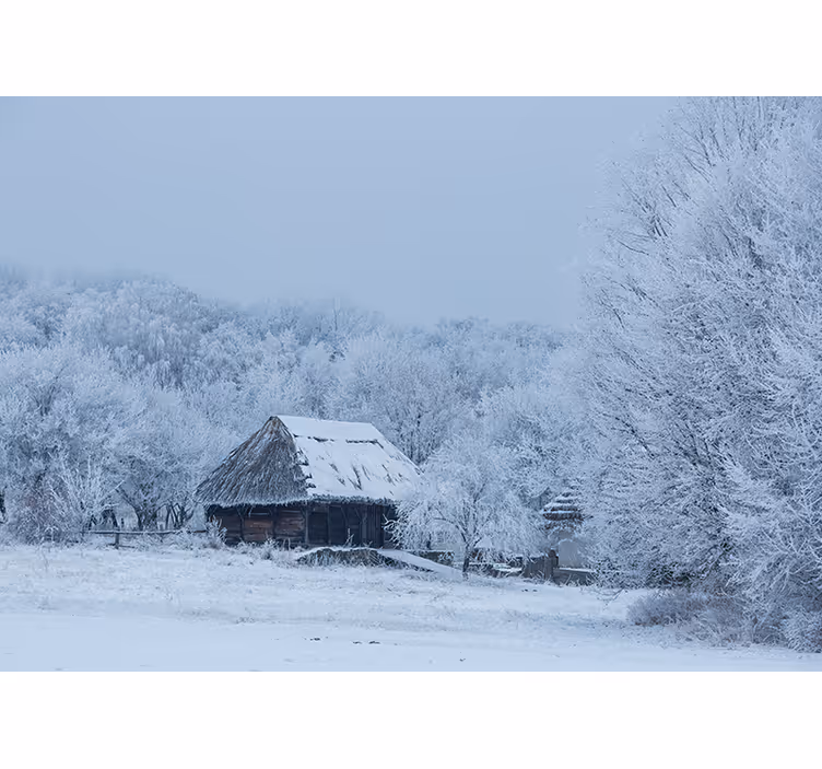 Vit rullgardin snöig innergård hemma - Tenstickers