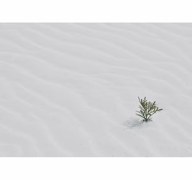 Vit rullgardin vit öken sand - Tenstickers