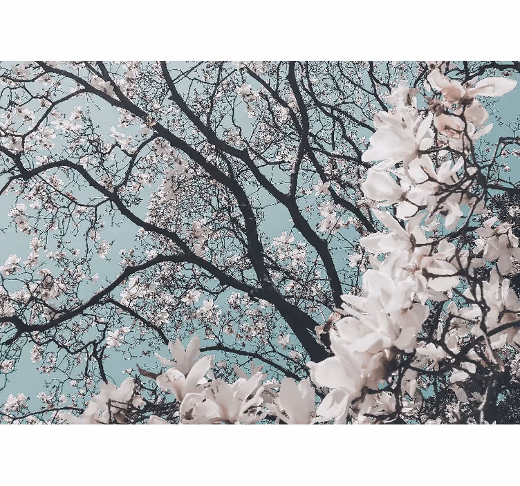 Rullgardin vardagsrum elegant stil japansk körsbärsblomma - Tenstickers