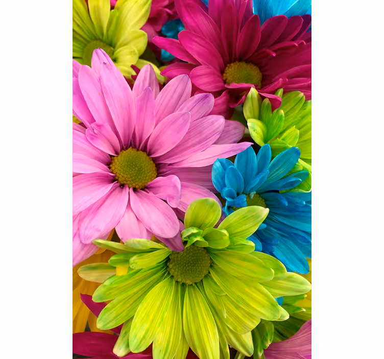 Rullgardin vardagsrum färgglada blommor - Tenstickers