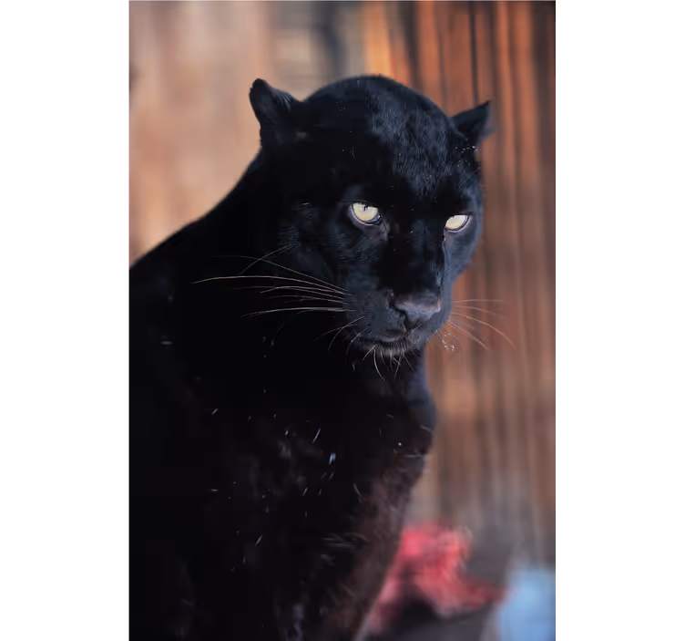 Rullgardin vardagsrum leopardjakt - Tenstickers
