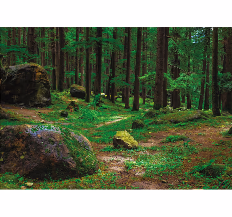 Rullgardin vardagsrum grön skog med träd - Tenstickers