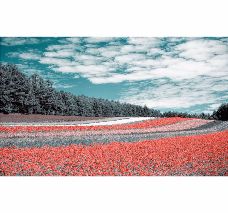 Rullgardin vardagsrum olika slags blomsterfält - Tenstickers