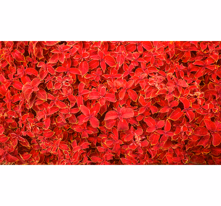 Rullgardin röd med blommönster - Tenstickers