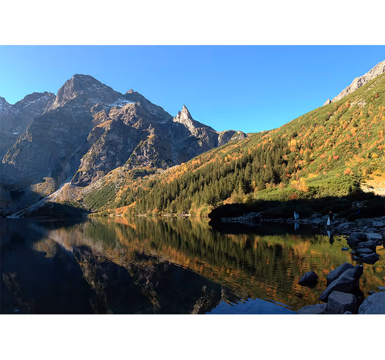 Rullgardin grön morskie oko på våren - Tenstickers