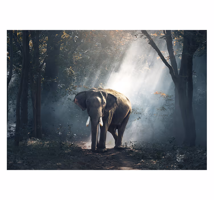 Rullgardin vardagsrum elefant i skogen - Tenstickers
