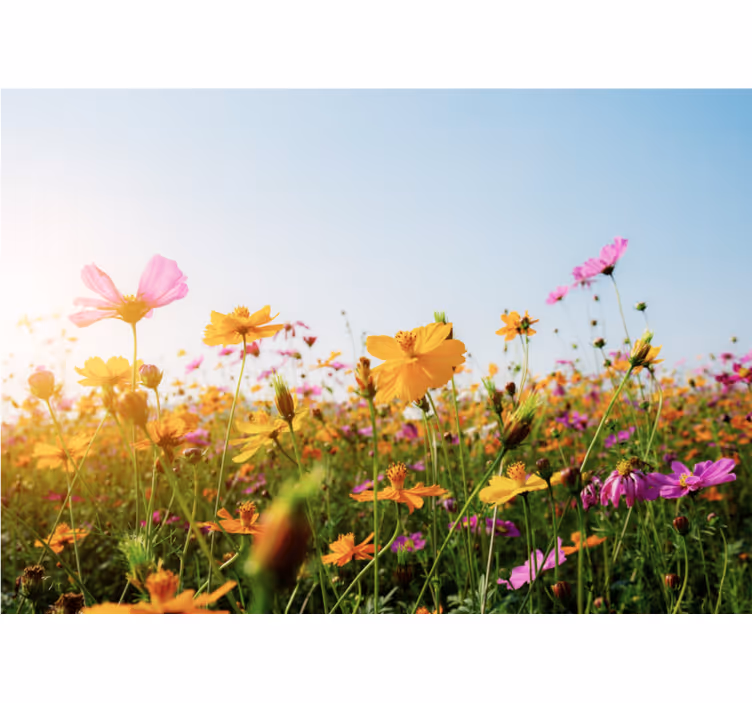 Rullgardin vardagsrum blandning av blommor typer - Tenstickers