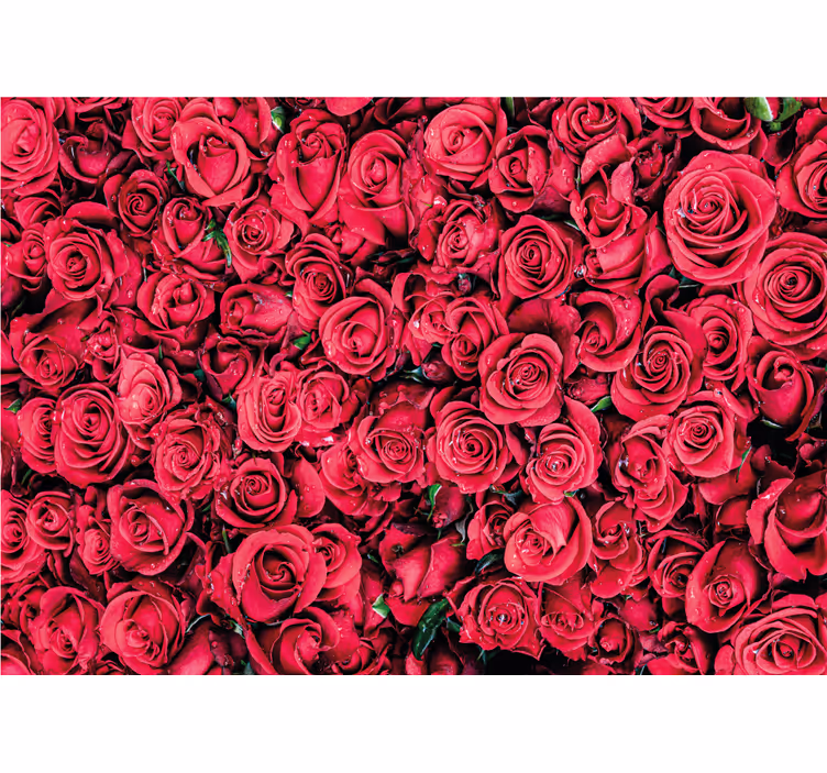 Rullgardin vardagsrum röda blommor med textur - Tenstickers