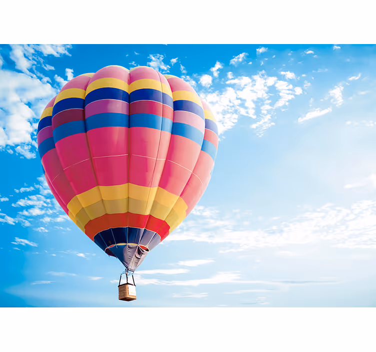 Rullgardin vardagsrum vintage ballongrace - Tenstickers