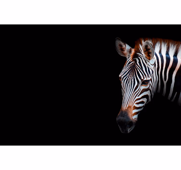 Zebra picture rullgardin vardagsrum - Tenstickers