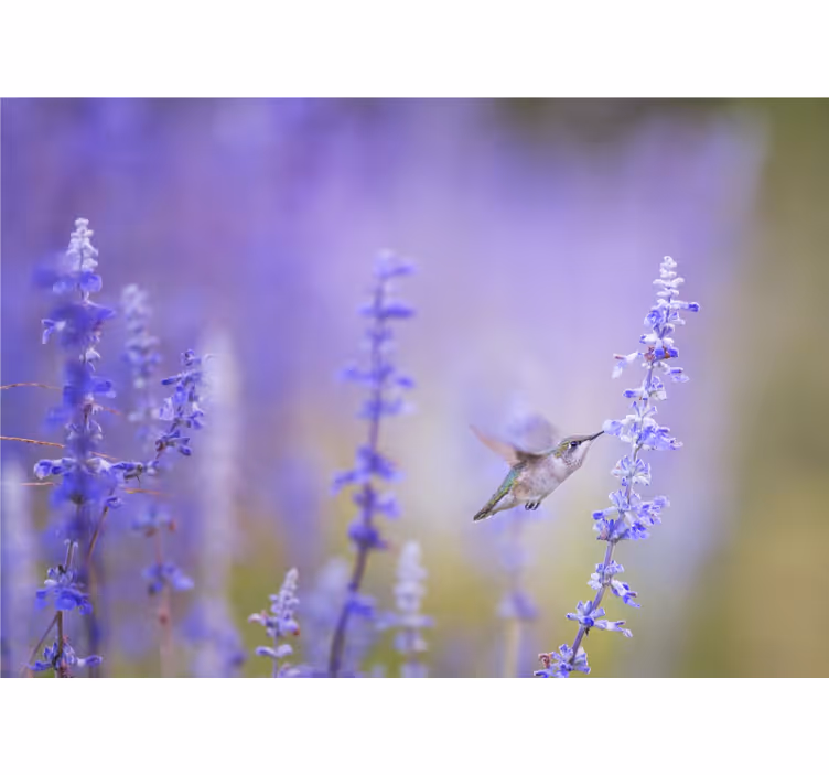 Rullgardin vardagsrum blommor med fågel - Tenstickers