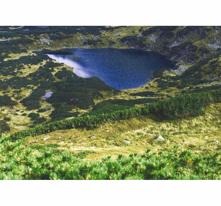 Rullgardin vardagsrum grön polska tatry - Tenstickers