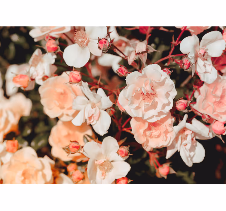 Rullgardin vardagsrum mycket blommor - Tenstickers