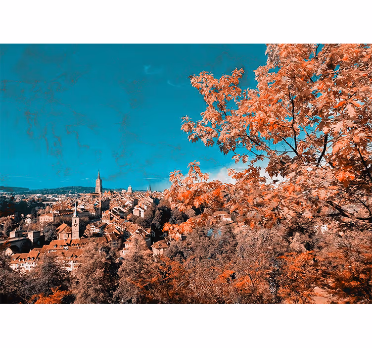 Rullgardin vardagsrum träd med orange höstlöv i bern - Tenstickers