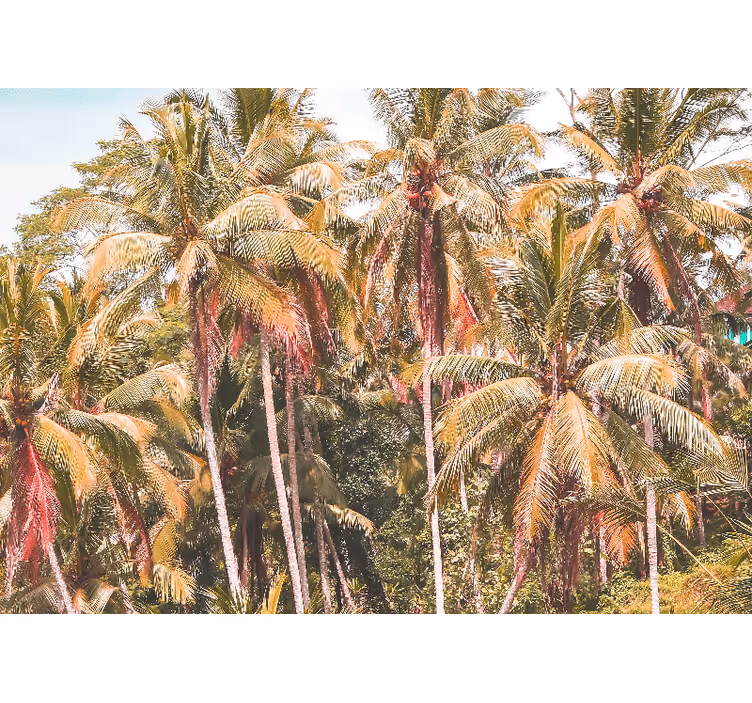 Grön palm i djungeln rullgardin vardagsrum - Tenstickers