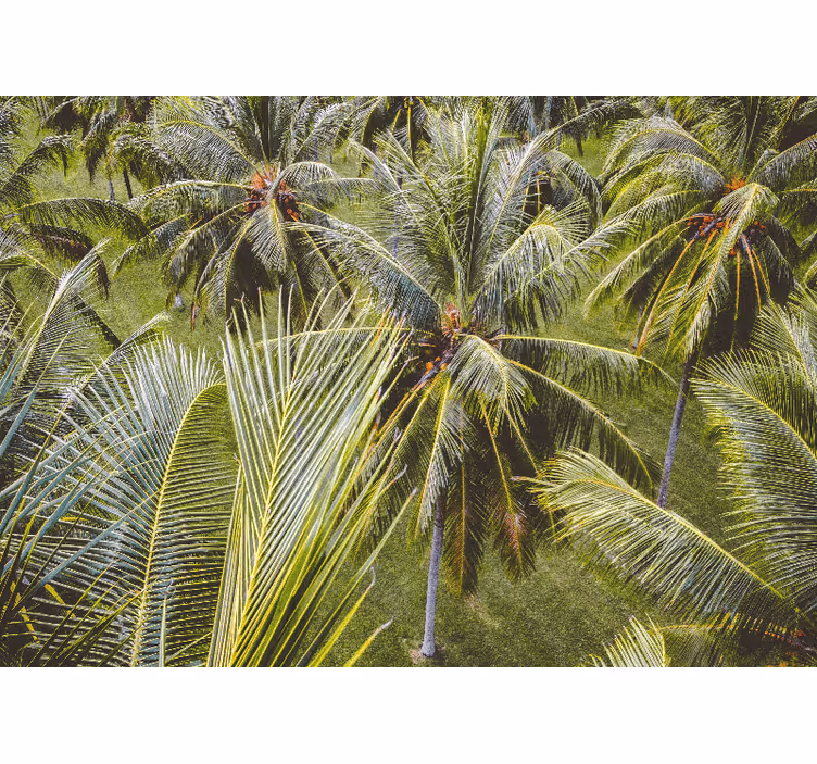 Rullgardin vardagsrum grön palmträdskog landskap - Tenstickers