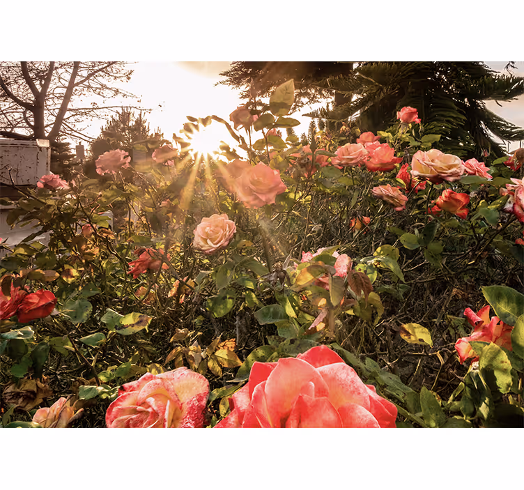 Rullgardin vardagsrum blommig lantlig kväll - Tenstickers