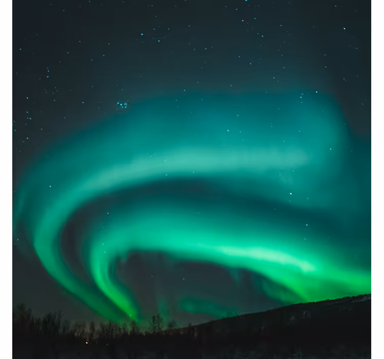 Rullgardin vardagsrum vacker grön nordisk ljuslandskap - Tenstickers