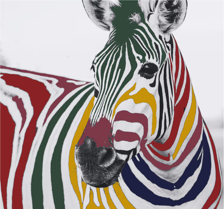 Rullgardin vardagsrum färgglad zebra målning konst - Tenstickers