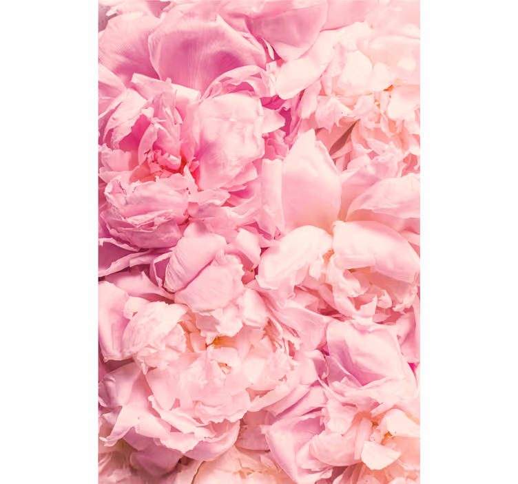 Rullgardin sovrum pion realistiska rosa blommor - Tenstickers