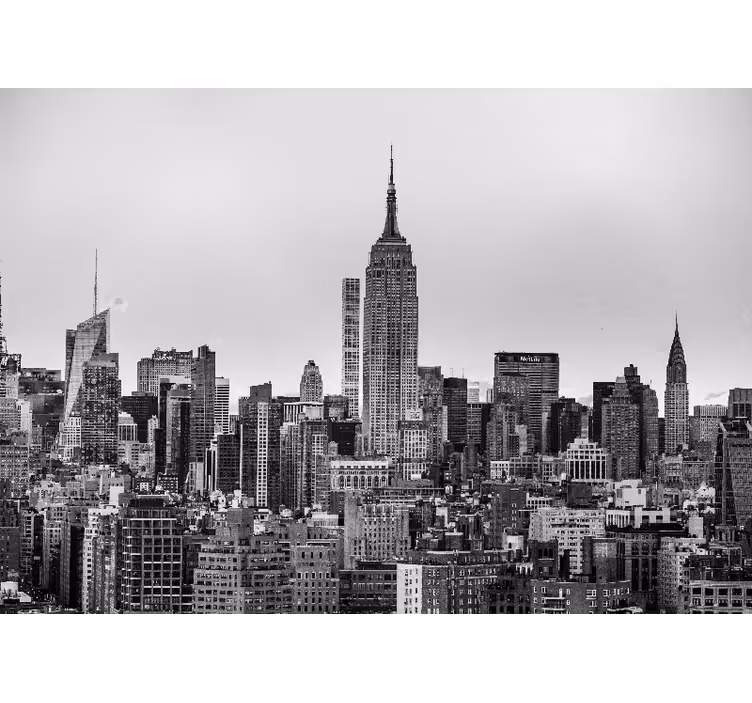 Rullgardin vardagsrum svartvit bild av new york city - Tenstickers