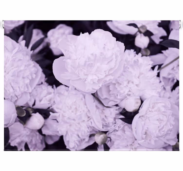 Rullgardin vardagsrum eleganta feminina rosa pioner - Tenstickers