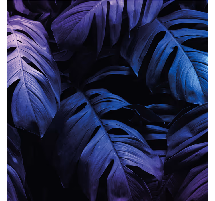 Rullgardin vardagsrum neon exotiska blad - Tenstickers
