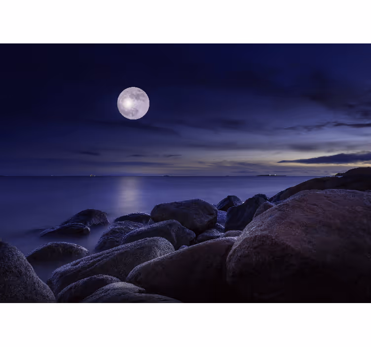 Rullgardin sovrum original landskap med månsken - Tenstickers