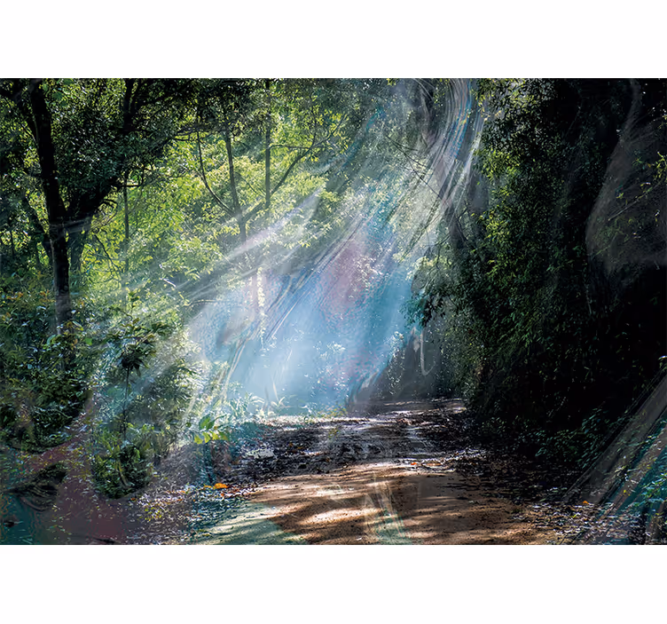 Rullgardin sovrum fototapet 3d djup effekt skog - Tenstickers