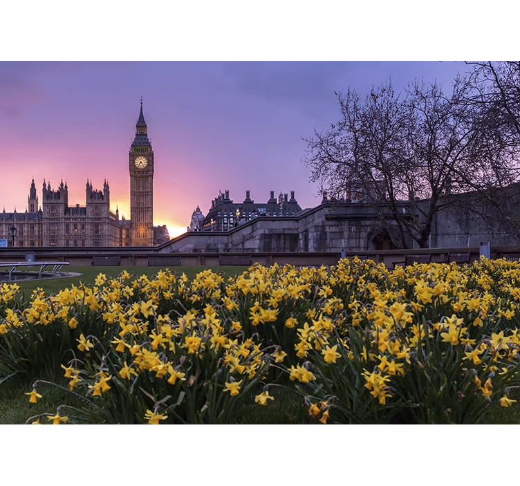 Rullgardin sovrum big ben med solljus - Tenstickers