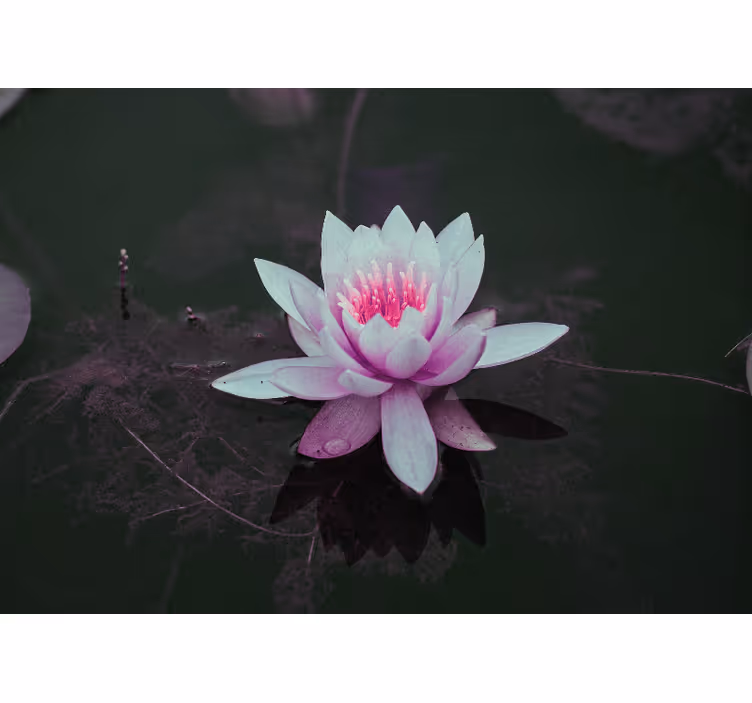 Rullgardin sovrum rosa vintage loto - Tenstickers