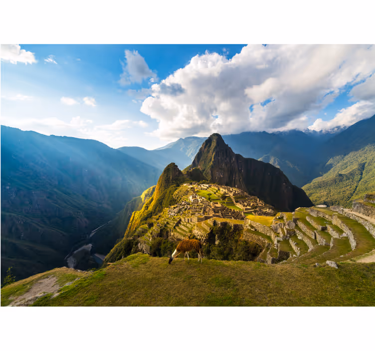 Rullgardin sovrum machupichu vyer med glittrande - Tenstickers