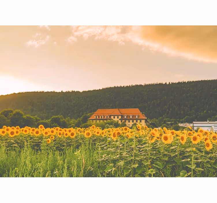 Rullgardin sovrum vacker äng täckt av gula blommor - Tenstickers