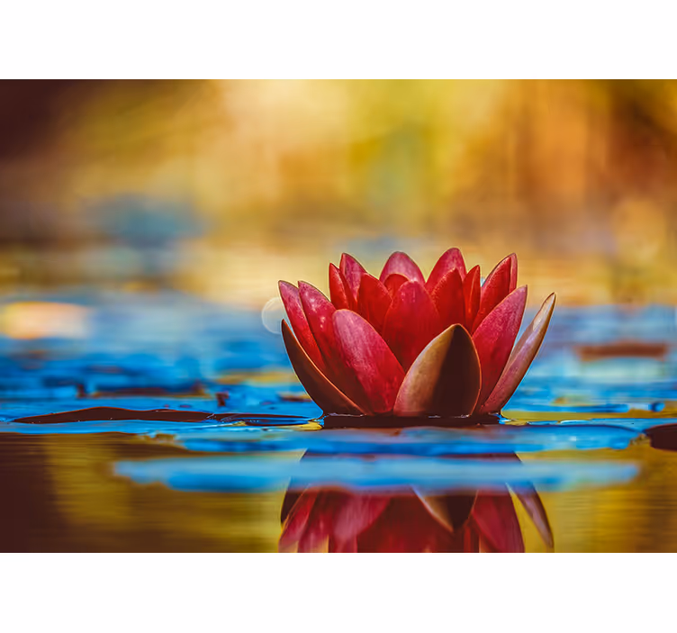 Rullgardin sovrum zen reflekterad lotusblomma - Tenstickers