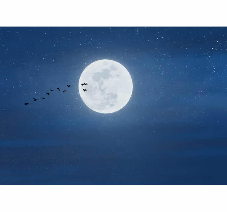 Rullgardin vardagsrum fullmåne och himmel - Tenstickers