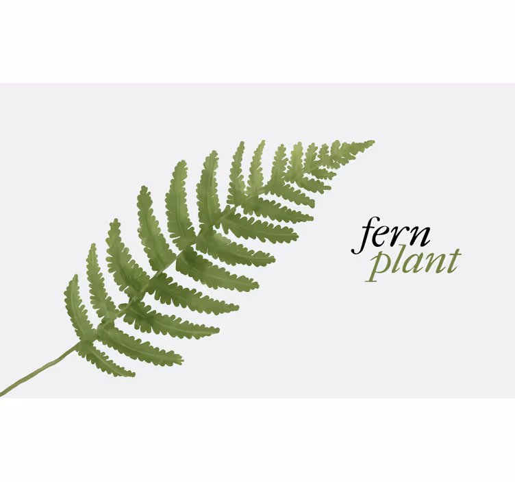 Rullgardin sovrum fernplanta minimalistisk vinylmatta - Tenstickers