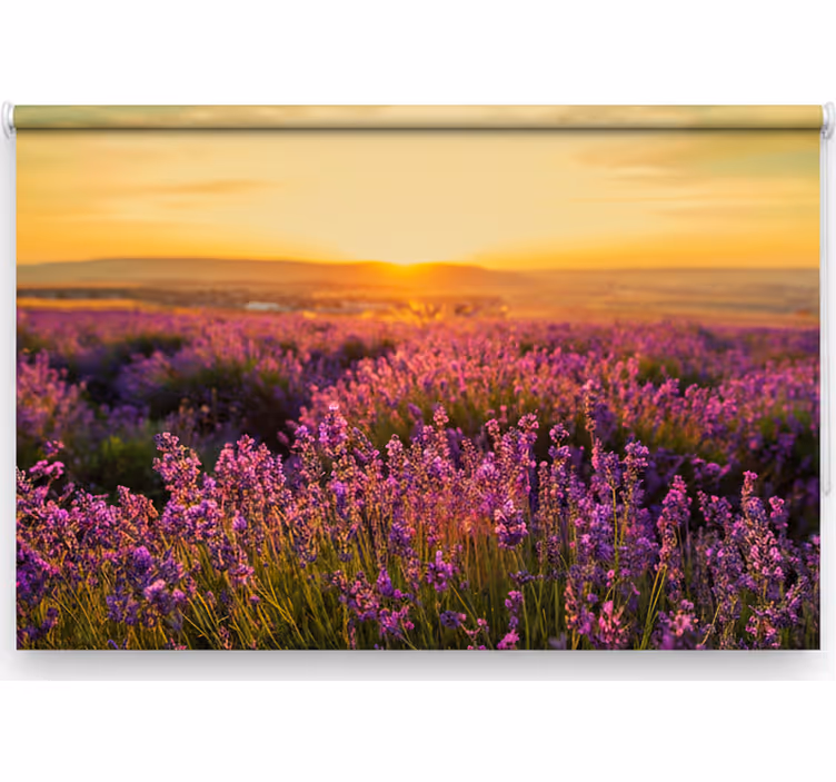 Rullgardin sovrum panoramisk provence - Tenstickers
