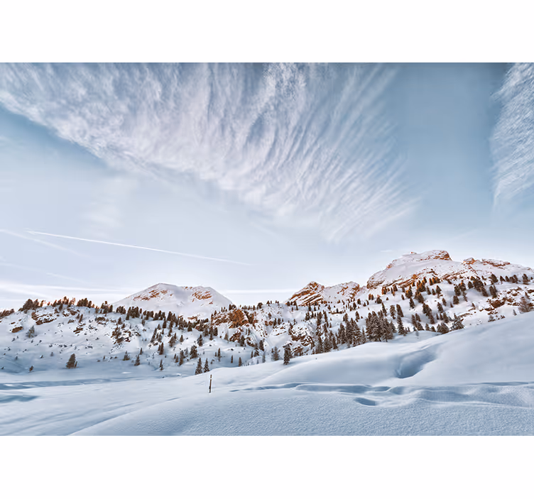Vit rullgardin snötäckta berg - Tenstickers