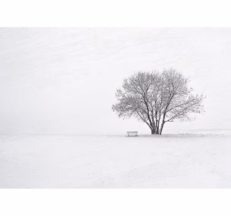 Vit rullgardin skandinavisk stil vinter snötredesign - Tenstickers