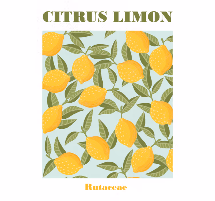Rullgardin kök citronfrukt - Tenstickers