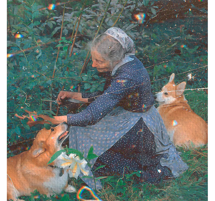 Rullgardin vardagsrum mormor med hundar trädgård - Tenstickers