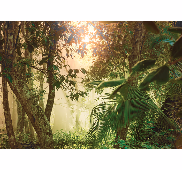 Rullgardin sovrum amazonas liv - Tenstickers