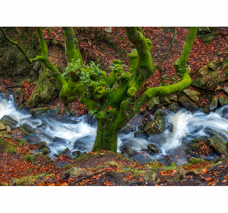 Rullgardin vardagsrum gorbea - Tenstickers
