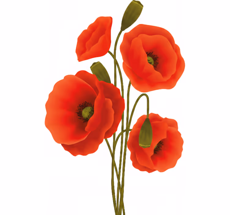 Rullgardin med blommor av vallmo - Tenstickers